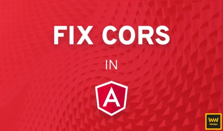 Fix CORS In Angular